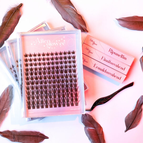 Ripsmetutikute komplekt "Brown Wispy"