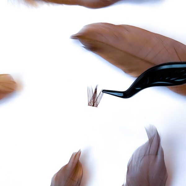 3 kuu komplekt "Brown Wispy" - Image 3